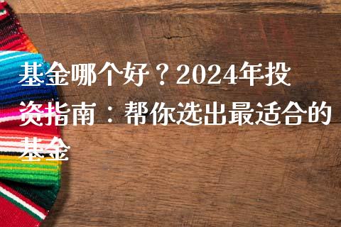 基金哪个好？2024年投资指南：帮你选出最适合的基金_https://www.qmgjg.com_恒生指数期货_第1张