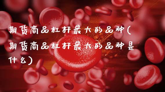 期货商品杠杆最大的品种(期货商品杠杆最大的品种是什么)_https://www.qmgjg.com_港股恒生指数_第1张