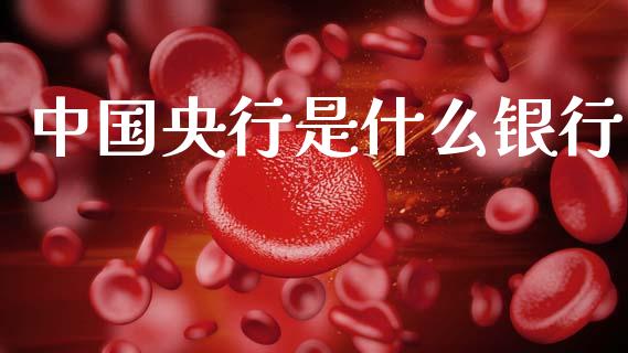 中国央行是什么银行_https://www.qmgjg.com_香港恒生指数_第1张