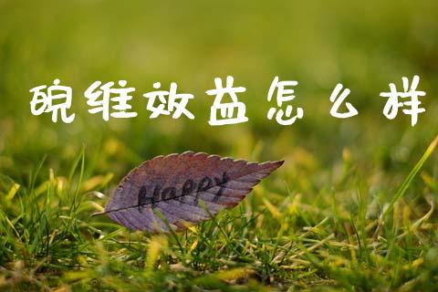 皖维效益怎么样_https://www.qmgjg.com_港股恒生指数_第1张