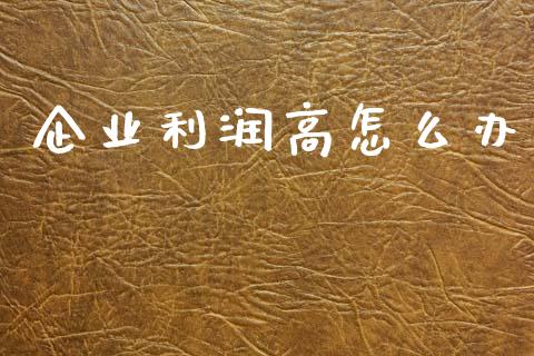 企业利润高怎么办_https://www.qmgjg.com_香港恒生指数_第1张