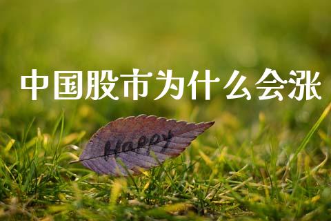 中国股市为什么会涨_https://www.qmgjg.com_恒生指数是什么_第1张