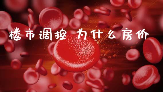 楼市调控 为什么房价_https://www.qmgjg.com_恒生指数是什么_第1张