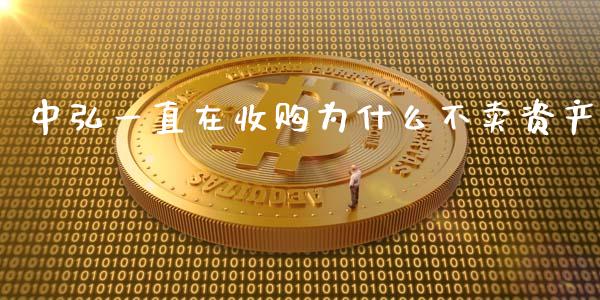 中弘一直在收购为什么不卖资产_https://www.qmgjg.com_香港恒生指数_第1张