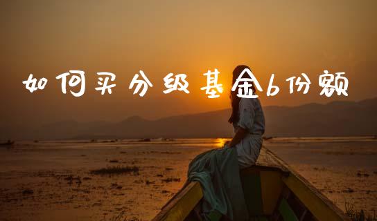 如何买分级基金b份额_https://www.qmgjg.com_恒生指数期货_第1张