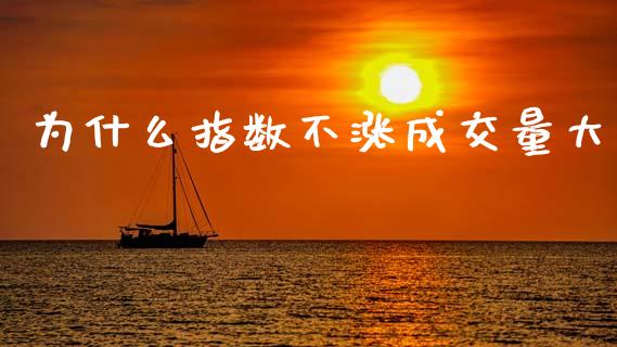 为什么指数不涨成交量大_https://www.qmgjg.com_香港恒生指数_第1张