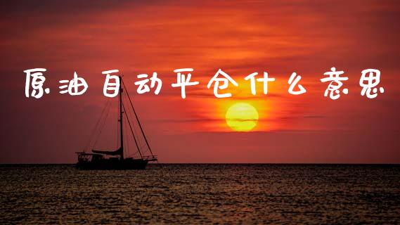 原油自动平仓什么意思_https://www.qmgjg.com_香港恒生指数_第1张