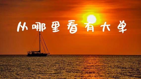 从哪里看有大单_https://www.qmgjg.com_恒生指数是什么_第1张
