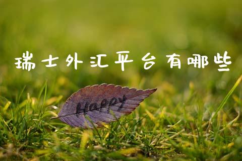瑞士外汇平台有哪些_https://www.qmgjg.com_恒生指数是什么_第1张