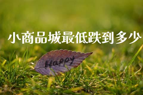 小商品城最低跌到多少_https://www.qmgjg.com_恒生指数期货_第1张