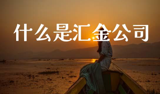 什么是汇金公司_https://www.qmgjg.com_恒生指数期货_第1张