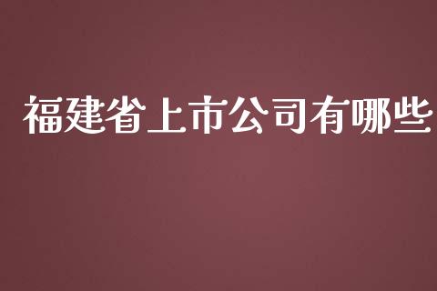 福建省上市公司有哪些_https://www.qmgjg.com_恒生指数期货_第1张
