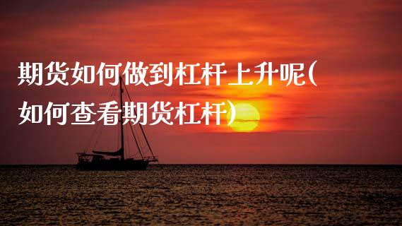期货如何做到杠杆上升呢(如何查看期货杠杆)_https://www.qmgjg.com_恒生指数是什么_第1张