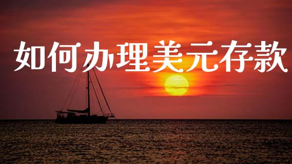 如何办理美元存款_https://www.qmgjg.com_港股恒生指数_第1张