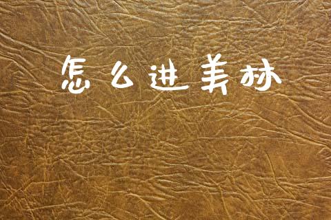 怎么进美林_https://www.qmgjg.com_恒生指数是什么_第1张