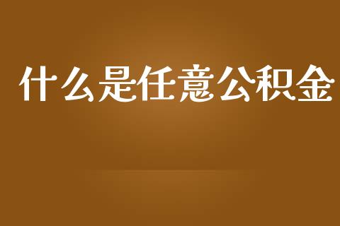 什么是任意公积金_https://www.qmgjg.com_恒生指数是什么_第1张