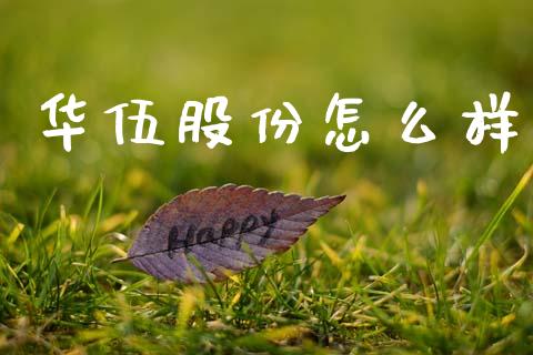 华伍股份怎么样_https://www.qmgjg.com_港股恒生指数_第1张