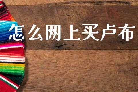怎么网上买卢布_https://www.qmgjg.com_港股恒生指数_第1张
