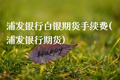 浦发银行白银期货手续费(浦发银行期货)_https://www.qmgjg.com_恒生指数期货_第1张