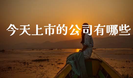 今天上市的公司有哪些_https://www.qmgjg.com_港股恒生指数_第1张