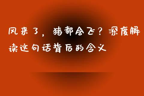 风来了，猪都会飞？深度解读这句话背后的含义_https://www.qmgjg.com_香港恒生指数_第1张