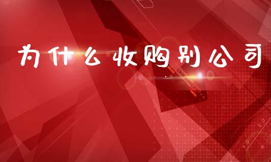 为什么收购别公司_https://www.qmgjg.com_恒生指数期货_第1张