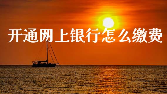开通网上银行怎么缴费_https://www.qmgjg.com_港股恒生指数_第1张