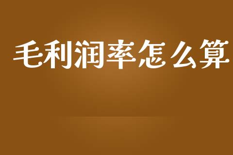 毛利润率怎么算_https://www.qmgjg.com_恒生指数是什么_第1张