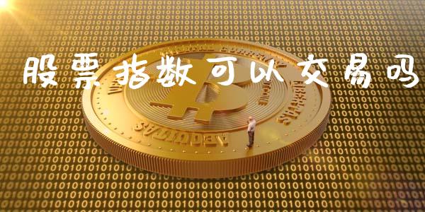 股票指数可以交易吗_https://www.qmgjg.com_恒生指数期货_第1张