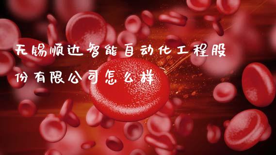 无锡顺达智能自动化工程股份有限公司怎么样_https://www.qmgjg.com_香港恒生指数_第1张