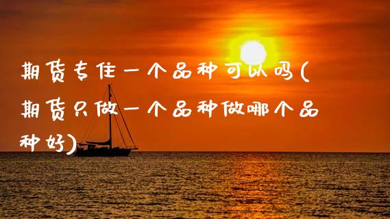 期货专住一个品种可以吗(期货只做一个品种做哪个品种好)_https://www.qmgjg.com_恒生指数期货_第1张