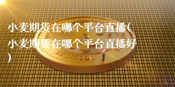 小麦期货在哪个平台直播(小麦期货在哪个平台直播好)_https://www.qmgjg.com_香港恒生指数_第1张
