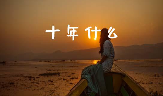 十年什么_https://www.qmgjg.com_港股恒生指数_第1张