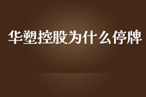 华塑控股为什么停牌_https://www.qmgjg.com_恒生指数期货_第1张
