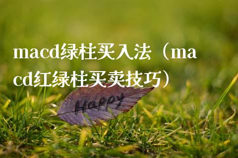 macd绿柱买入法（macd红绿柱买卖技巧）_https://www.qmgjg.com_香港恒生指数_第1张