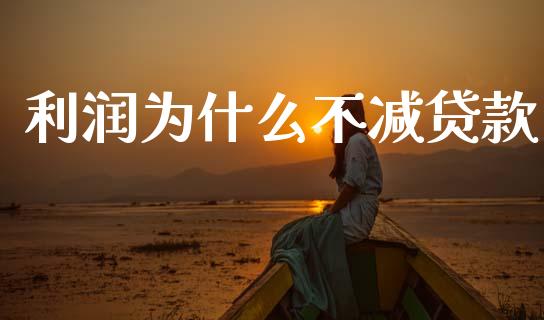 利润为什么不减贷款_https://www.qmgjg.com_港股恒生指数_第1张