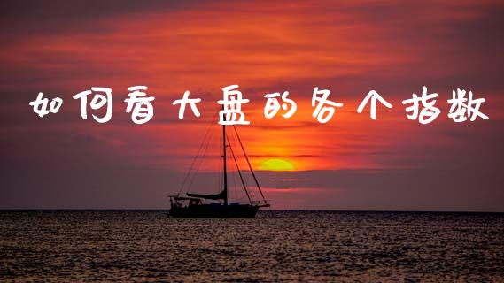 如何看大盘的各个指数_https://www.qmgjg.com_香港恒生指数_第1张