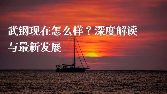 武钢现在怎么样？深度解读与最新发展_https://www.qmgjg.com_恒生指数是什么_第1张