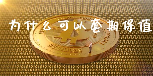 为什么可以套期保值_https://www.qmgjg.com_恒生指数期货_第1张