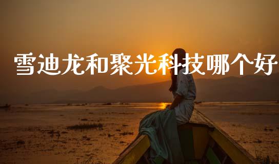 雪迪龙和聚光科技哪个好_https://www.qmgjg.com_恒生指数期货_第1张