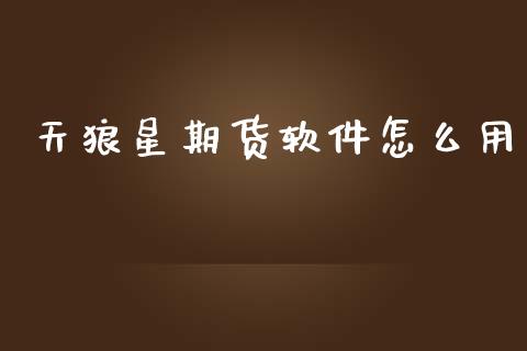 天狼星期货软件怎么用_https://www.qmgjg.com_恒生指数是什么_第1张