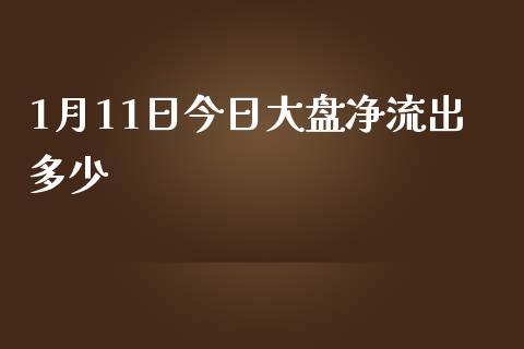 1月11日今日大盘净流出多少_https://www.qmgjg.com_香港恒生指数_第1张