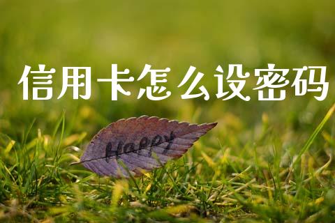 信用卡怎么设密码_https://www.qmgjg.com_恒生指数期货_第1张