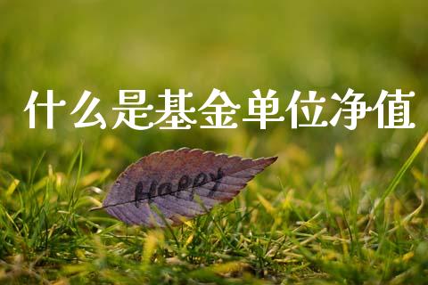 什么是基金单位净值_https://www.qmgjg.com_恒生指数期货_第1张