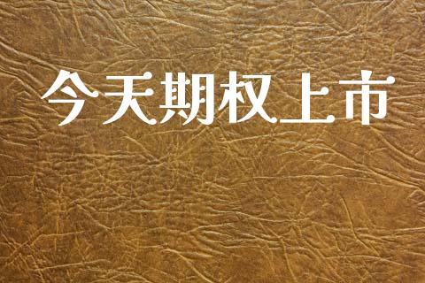 今天期权上市_https://www.qmgjg.com_港股恒生指数_第1张