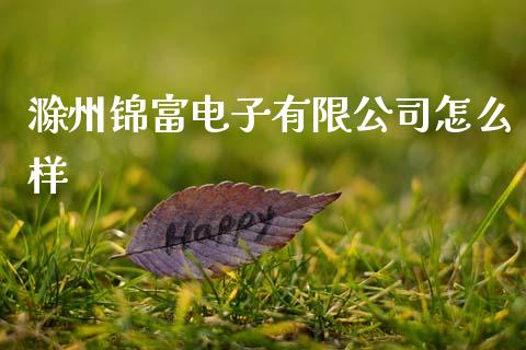 滁州锦富电子有限公司怎么样_https://www.qmgjg.com_恒生指数是什么_第1张