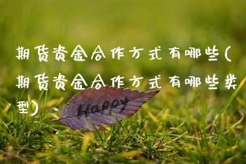期货资金合作方式有哪些(期货资金合作方式有哪些类型)_https://www.qmgjg.com_港股恒生指数_第1张