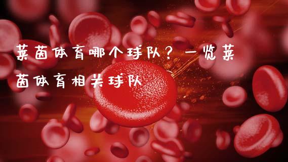 莱茵体育哪个球队？一览莱茵体育相关球队_https://www.qmgjg.com_恒生指数是什么_第1张