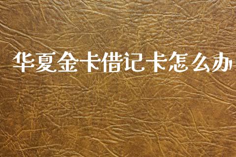 华夏金卡借记卡怎么办_https://www.qmgjg.com_香港恒生指数_第1张