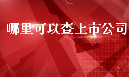 哪里可以查上市公司_https://www.qmgjg.com_港股恒生指数_第1张